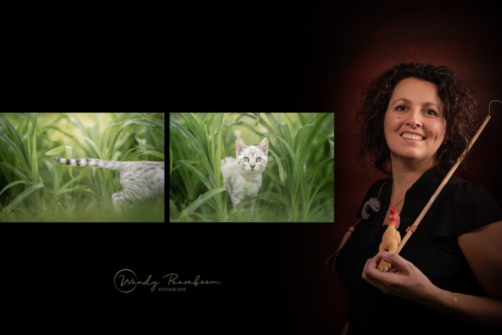 afstudeerproject dierenfotograaf zeeland en west=