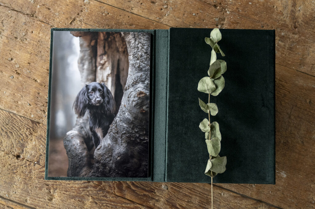 Fotoshoot met fotoalbum de beoordeling van de fotograaf in Zeeland en West-Brabant