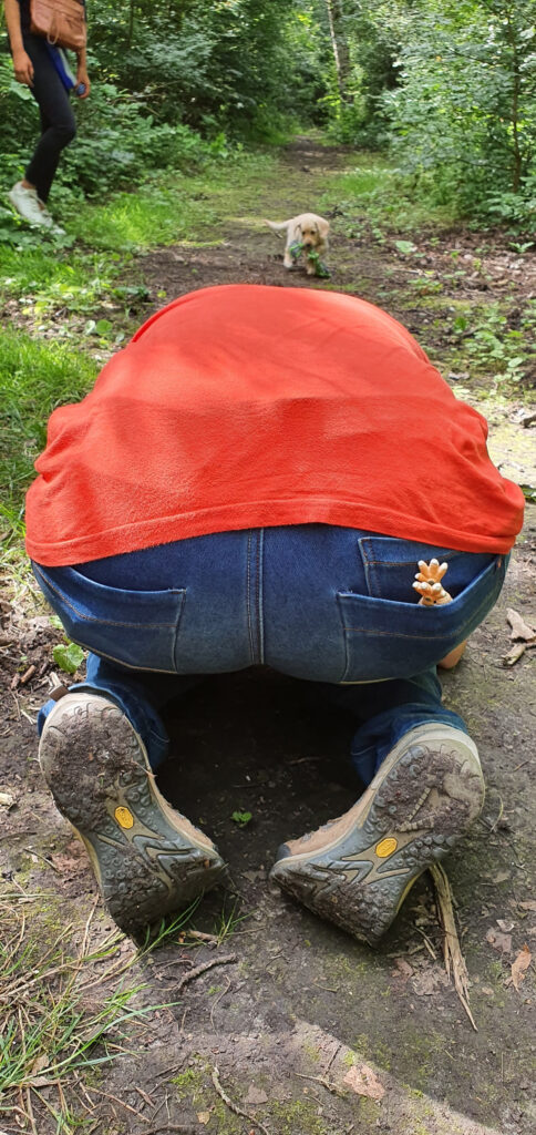 Wendy Peereboom Hondenfotograaf Zeeland en West-Brabant