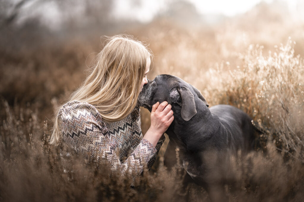 Dieren afscheidsfotograaf Zeeland en West-Brabant. Afscheidsfotoshoot Hond Cane Corso.