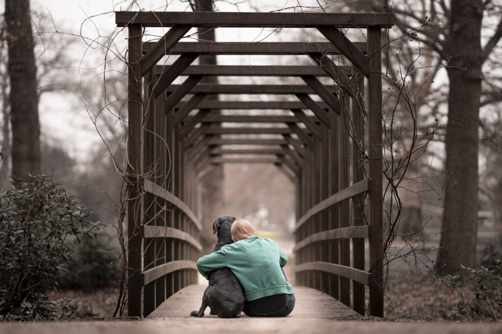 Dieren afscheidsfotograaf Zeeland en West-Brabant. Afscheidsfotoshoot Hond Cane Corso.