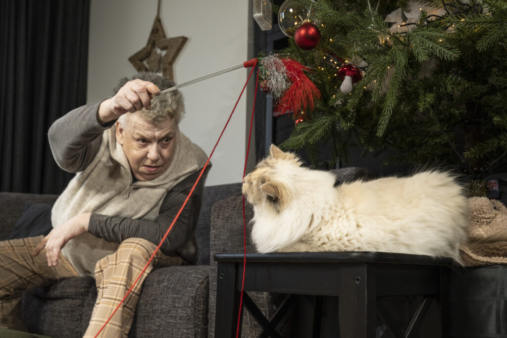 dierenfotoshoot als cadeau voor jubileum