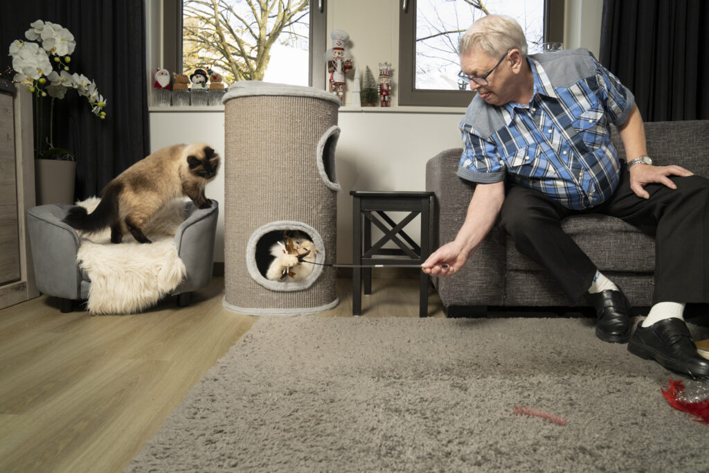 Reportage fotoshoot katten voor jubileum dieren fotoshoot als cadeau