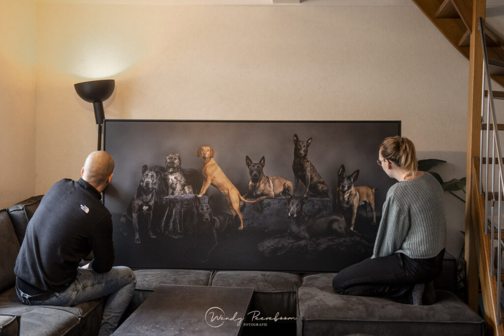 studio fotoshoot groepsportret hondenfotografie in Zeeland