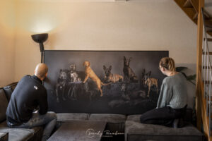 studio fotoshoot groepsportret hondenfotografie in Zeeland