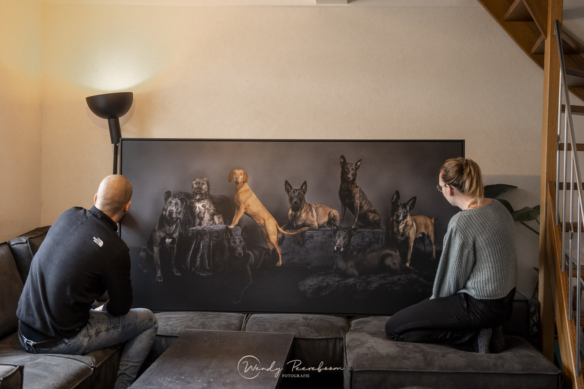 studio fotoshoot groepsportret hondenfotografie in Zeeland