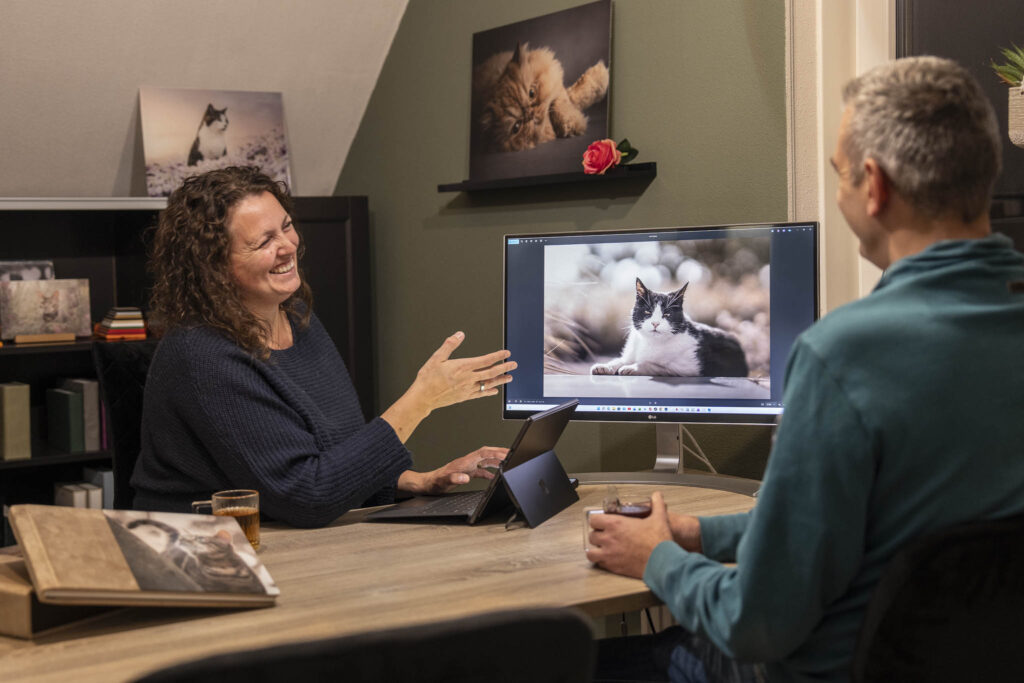 foto reveal van kattenfotograaf Zeeland,