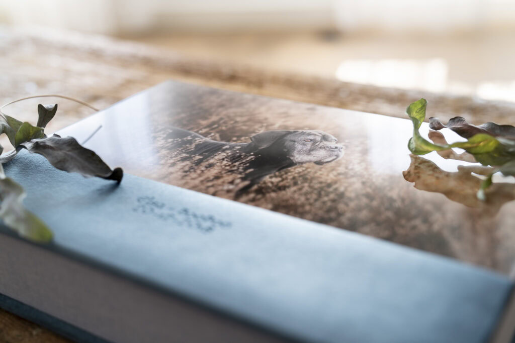 Fotoalbum afscheidsfotoshoot hond