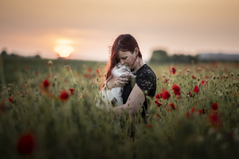 fotoshoot kat in de natuur klaprozen Brabant