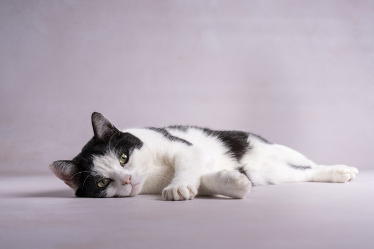 Jan Willem en Samantha Klaassen