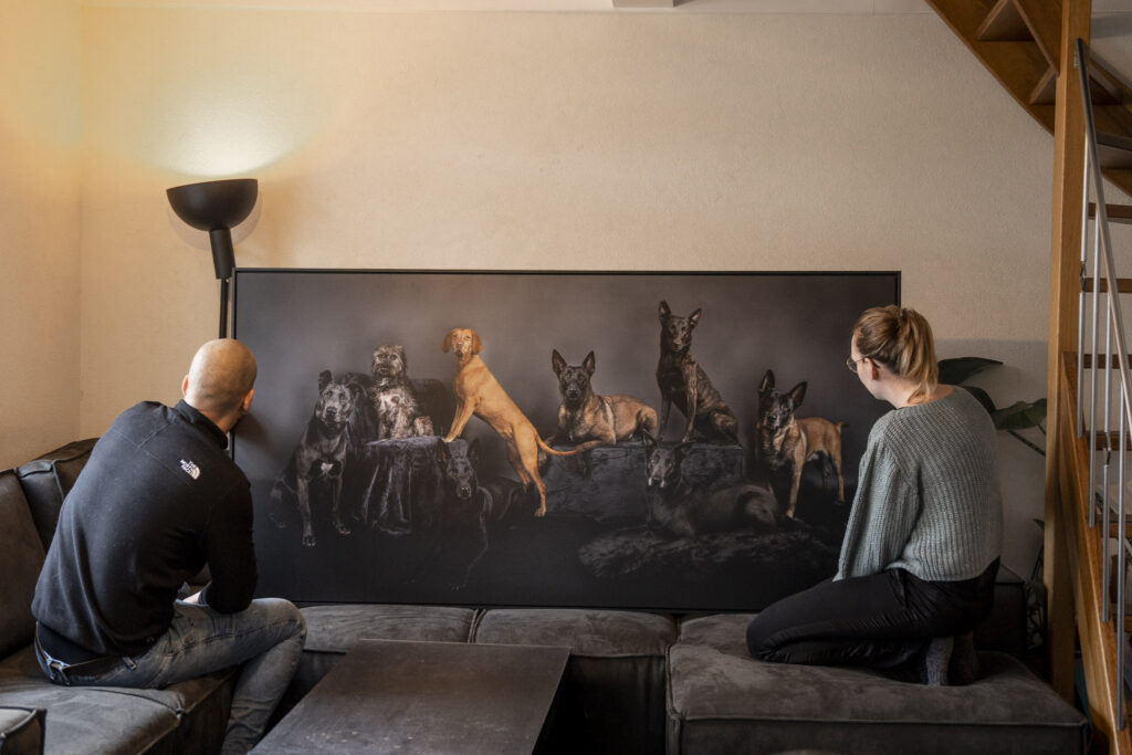 studio fotoshoot groepsportret hondenfotografie in Zeeland